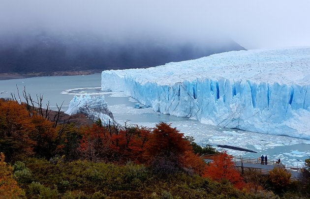 Kippenvel bij Perito Moreno