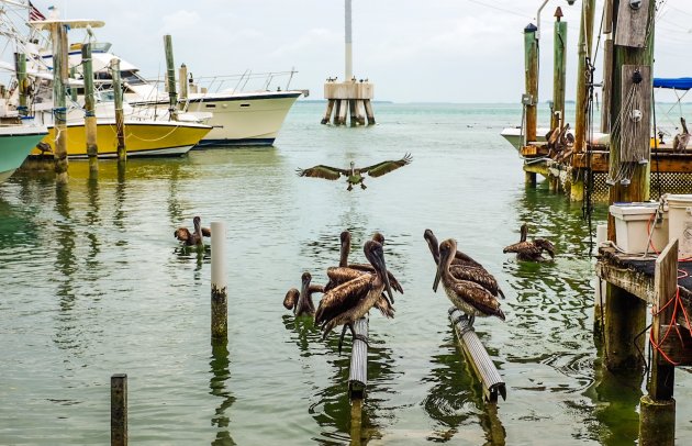 Florida Keys