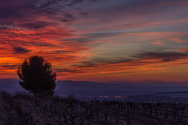 Chateauneuf du Pape