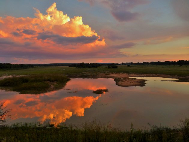 Spiegeling  in meertje, Wetlands in Entabeni