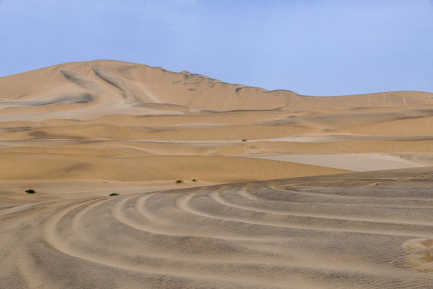 Namib Desert