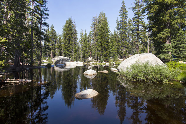 Tioga road, Yosemite N.P.