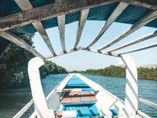 Tussen de mangroves ervaar je rust en vrijheid