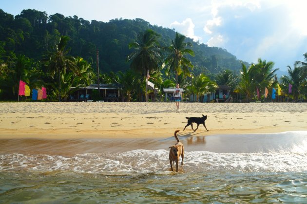 Our little paradise - Pulau Tioman, Maleisië