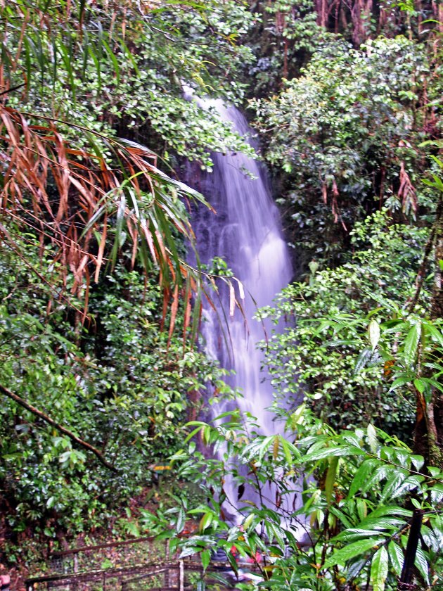 waterval in de jungle