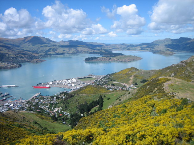 Lyttelton harbour