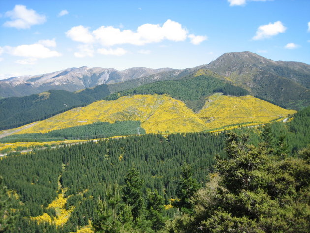 Conical Hill lookout