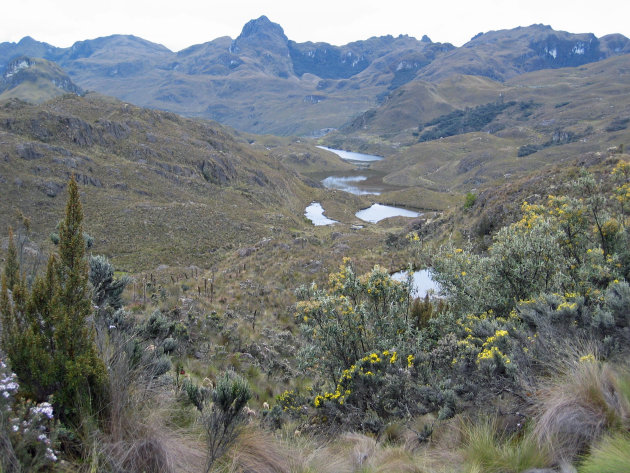 Parque Nacional El Cajas