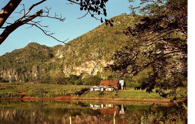 Vinales