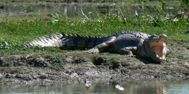 Kakadu NP