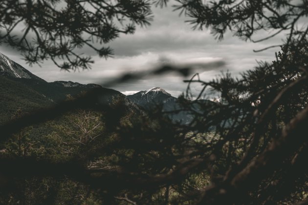 Ik zie de bergen door het bos niet meer