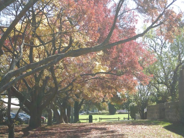 Herfst in optima forma