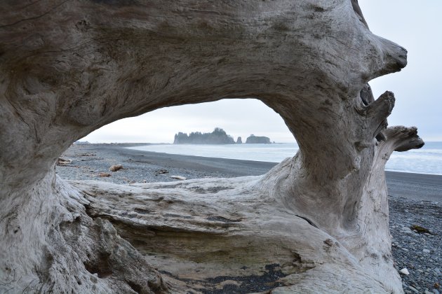 De kust van Olympic National Park