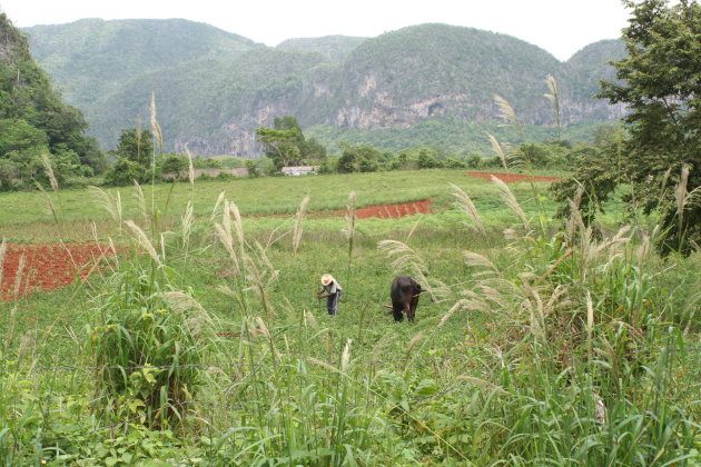 Valle de Vinales