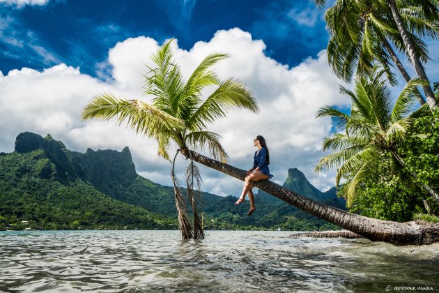 Cook's Bay op Moorea