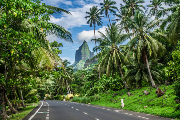 Moorea, de weg naar het paradijs!