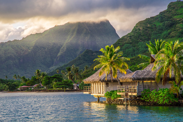 Moorea Sunrise