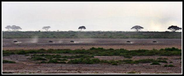 panorama (GROOT KIJKEN!!)