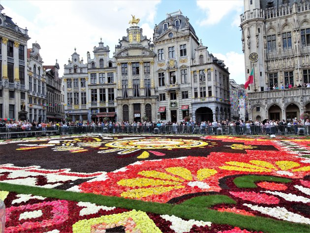Bloementapijt op Brussels Grote Markt