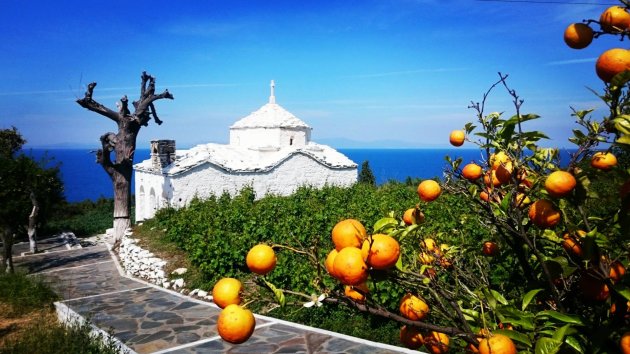 Sinaasappels op Samos
