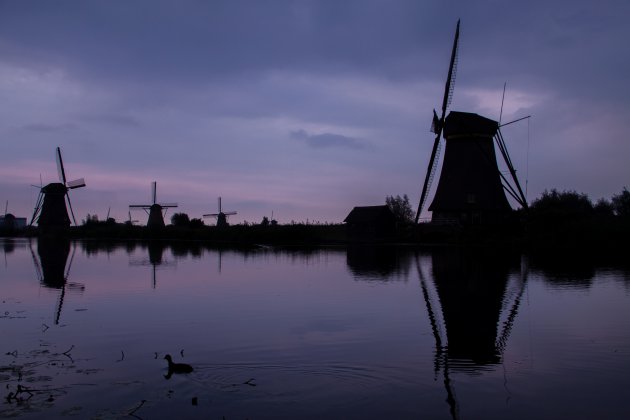 Kinderdijk bij zonsondergang