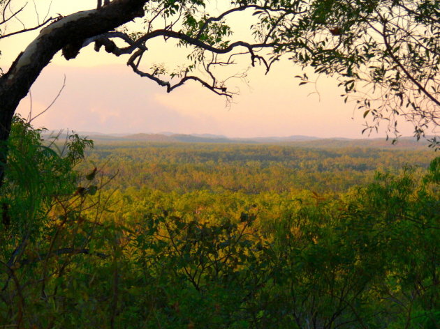 Avondschemer in Litchfield NP