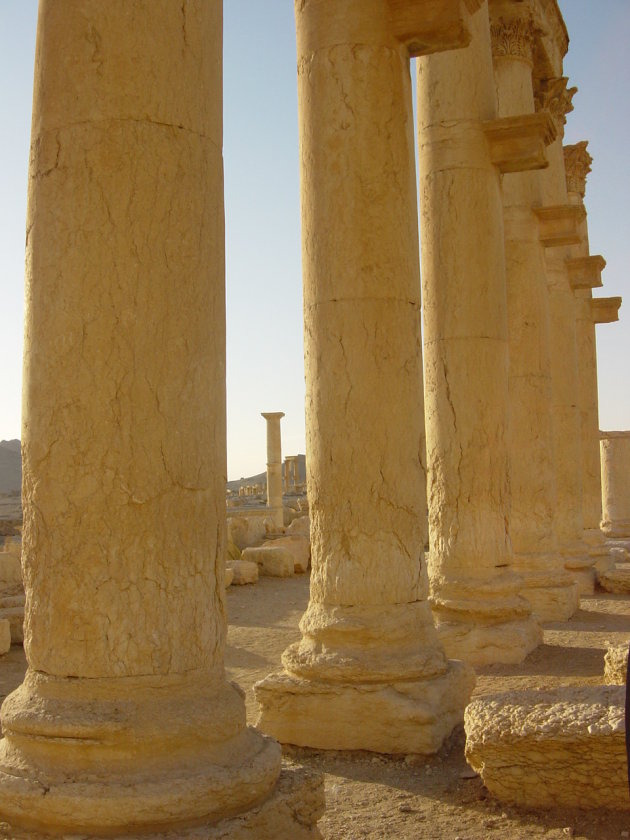 Palmyra