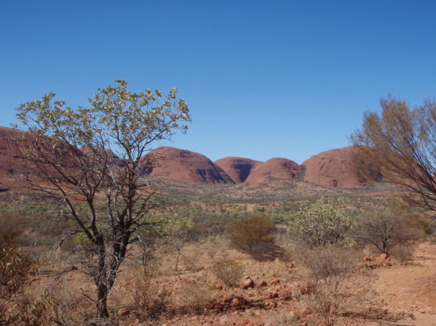 Kata Tjuta (Olga's)