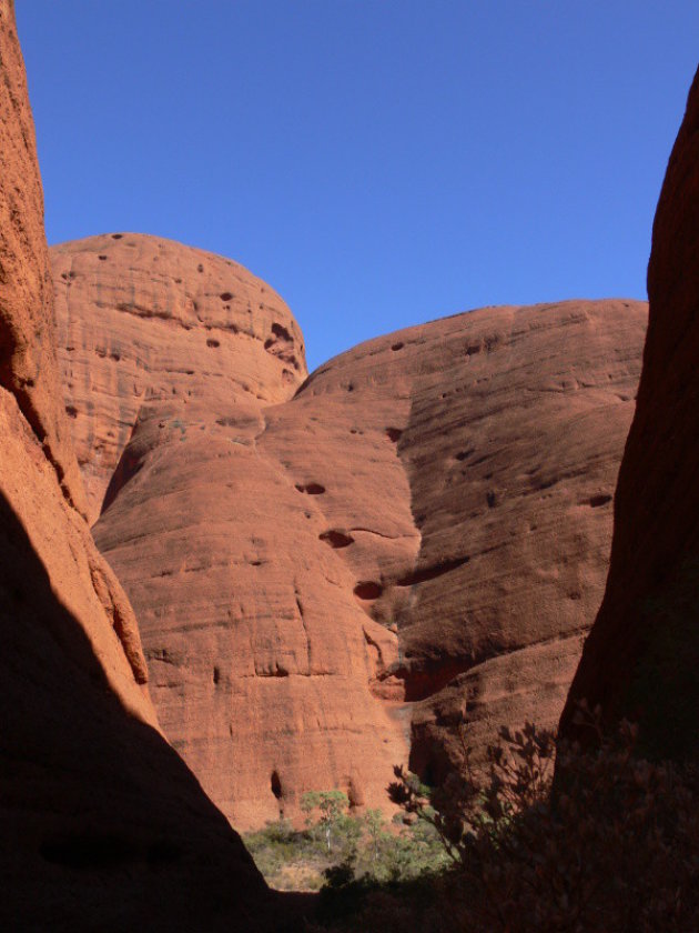 Kata Tjuta (detail)