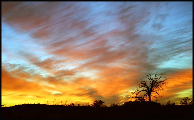 desert night