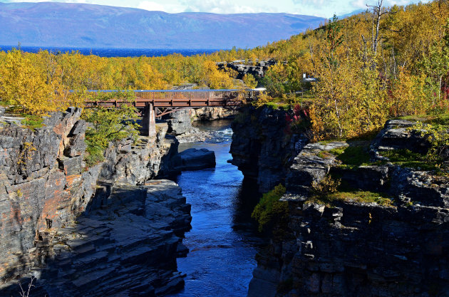 Abisko N.P.