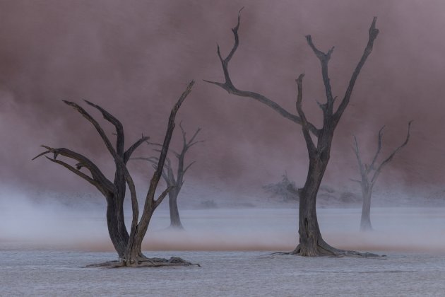 Deadvlei tijdens een zandstorm