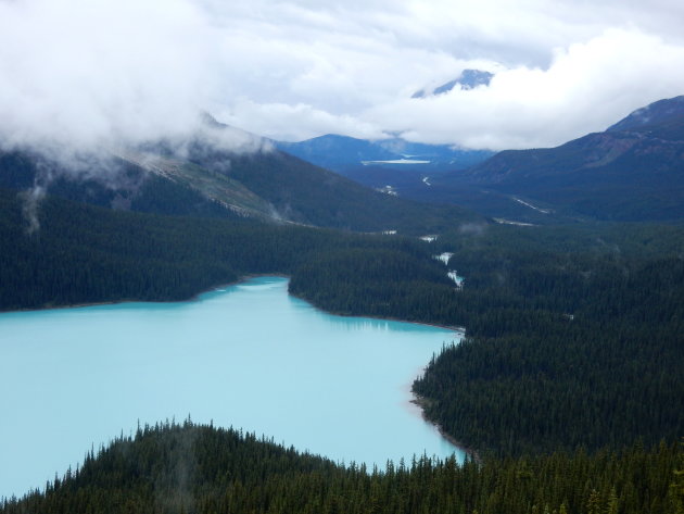Peyto Lake in Canada, het perfecte uitzicht!