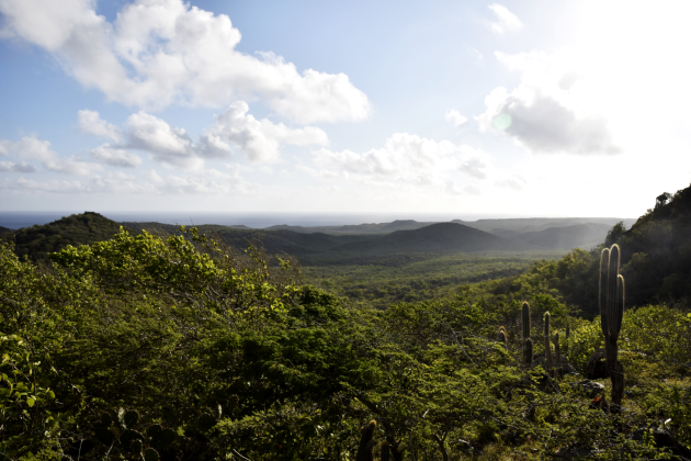 Christoffelberg op Curaçao