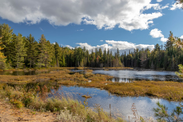 Algonquin Park