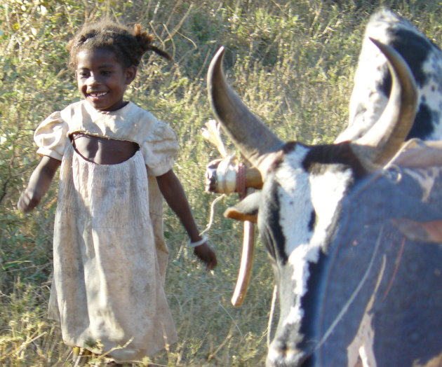 meisje & zebu