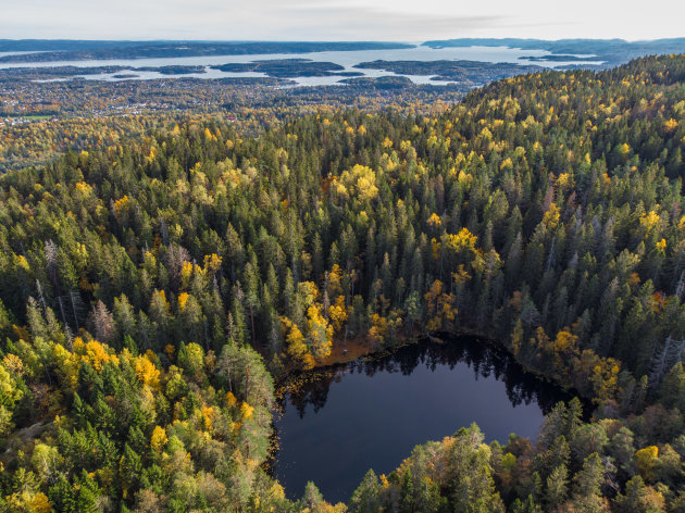 Wandelen in de bossen van Oslo