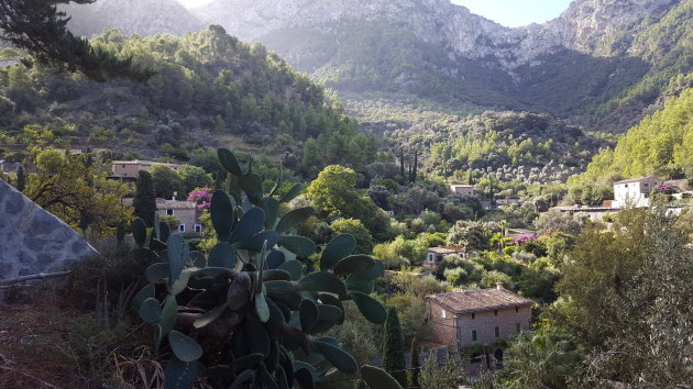 Serra de Tramuntana