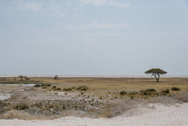 Etosha pan