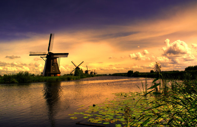 Kinderdijk