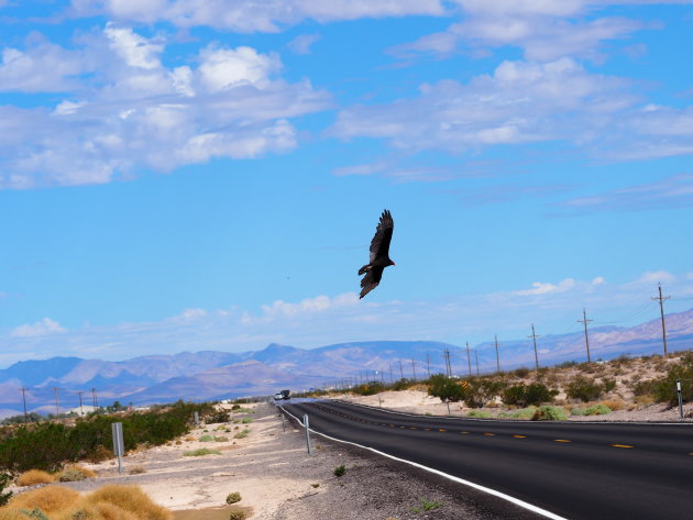 Nevada: heet en eenzaam