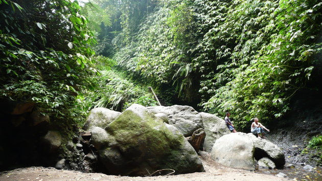jungle lombok