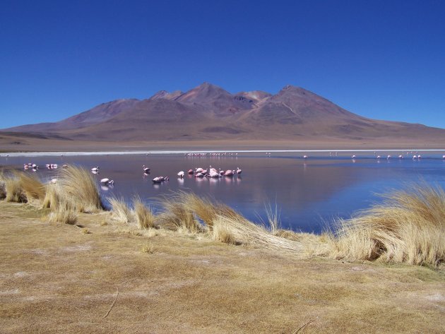 Laguna Canapa Bolivia