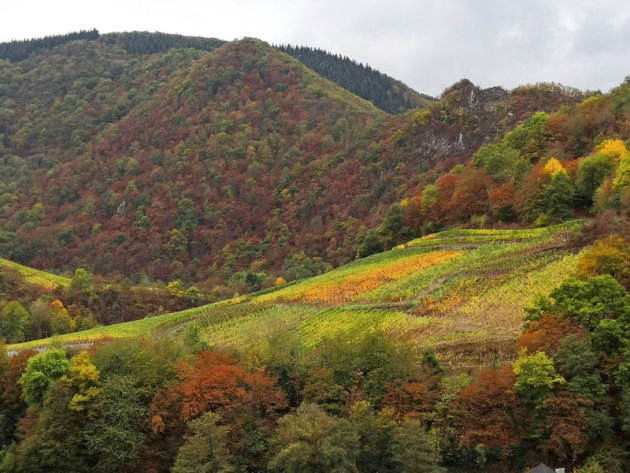 Wandelen in de Eifel