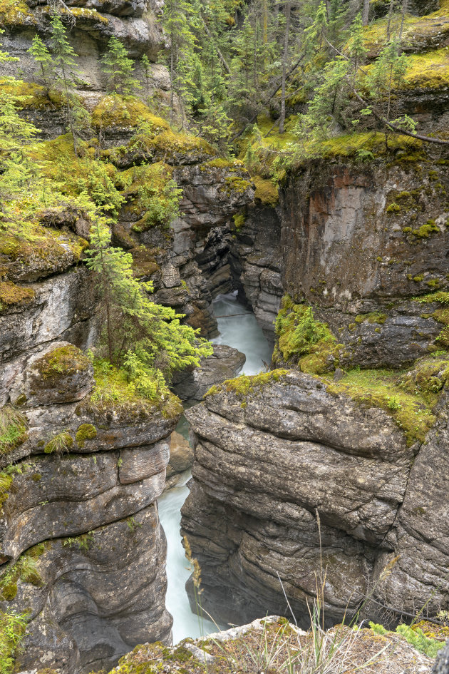 Maligne Canyon