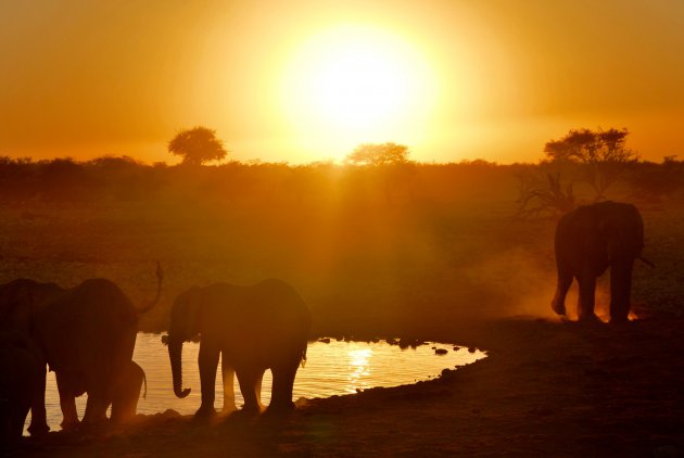 Sunset in Etosha