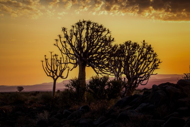 De zonsondergang in Namibië
