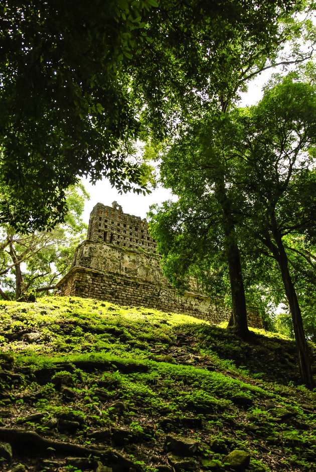 Enkele Maya ruïnes in de jungle