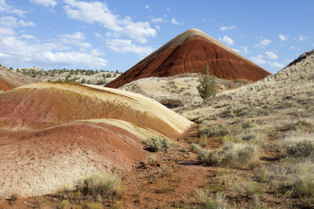 de gekleurde heuvels van Oregon