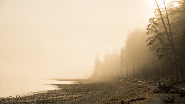 Prachtige zonsopkomst bij Rathtrevor Beach PP nabij Parksville